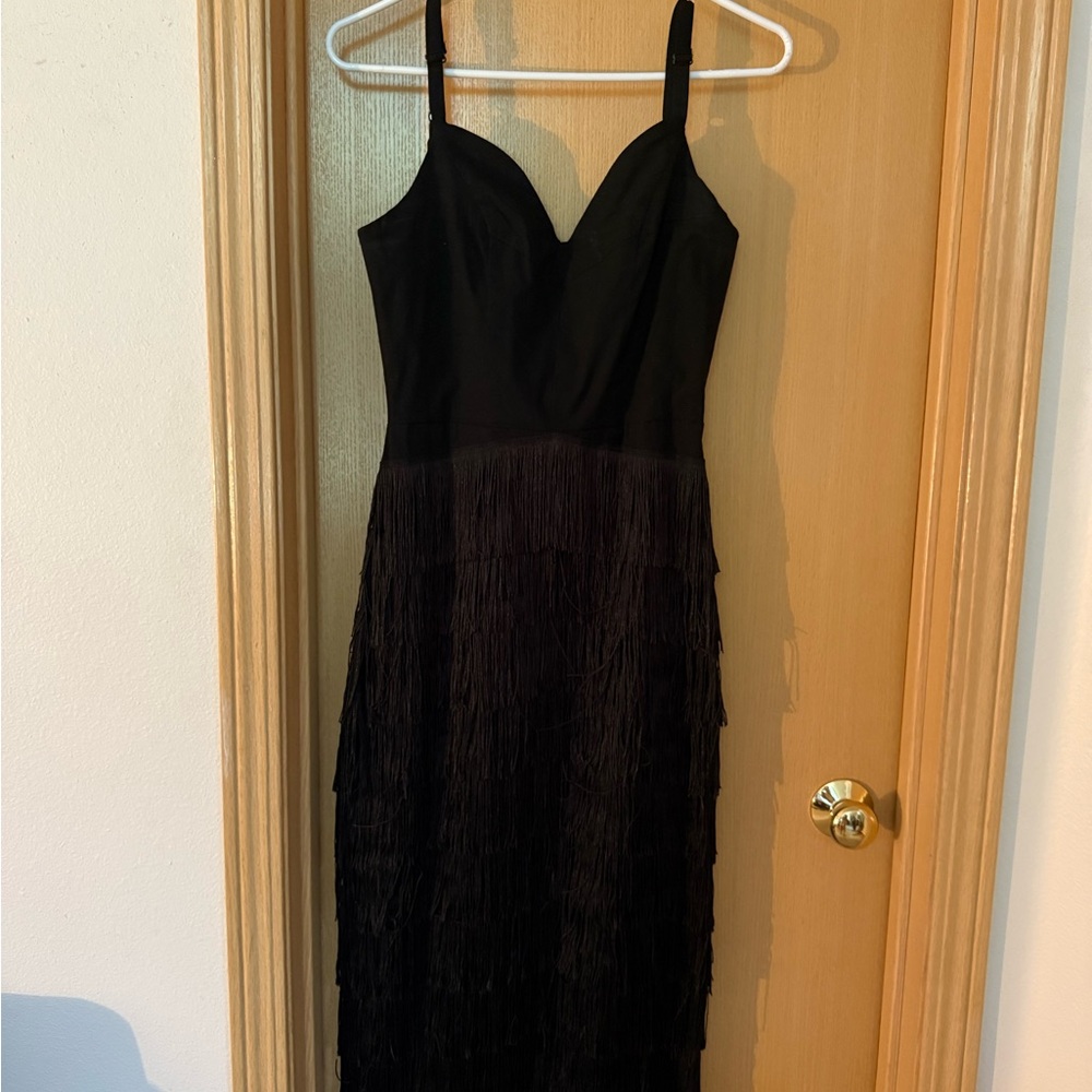 Hollywoodland Some Like it Hot Fringe Dress - Picture 4 of 6
